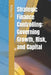 Strategic Finance Controlling: Governing Growth, Risk, and Capital by Robyn Xu