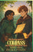 The Cartographer's Compass (And the Rogue Who Stole Her Heart): A cozy romantasy light novella by Fiona Forte