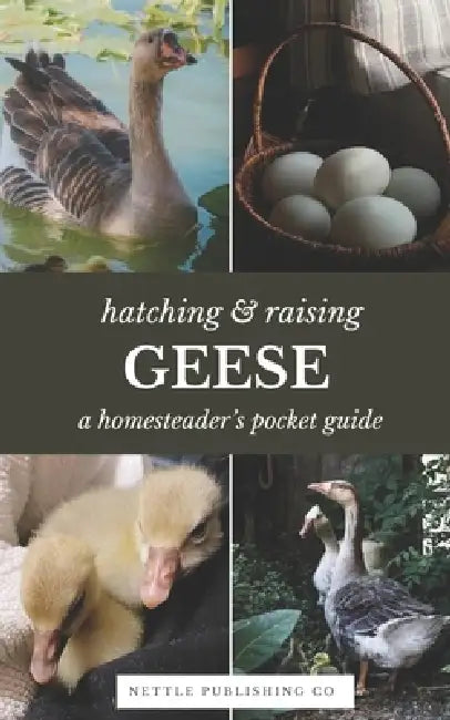 Hatching & Raising Geese A Homesteader's Pocket Guide: A Detailed Guide to Incubating, Hatching, and Raising Healthy Heritage Geese for Homesteaders a by Nettle Publishing Co