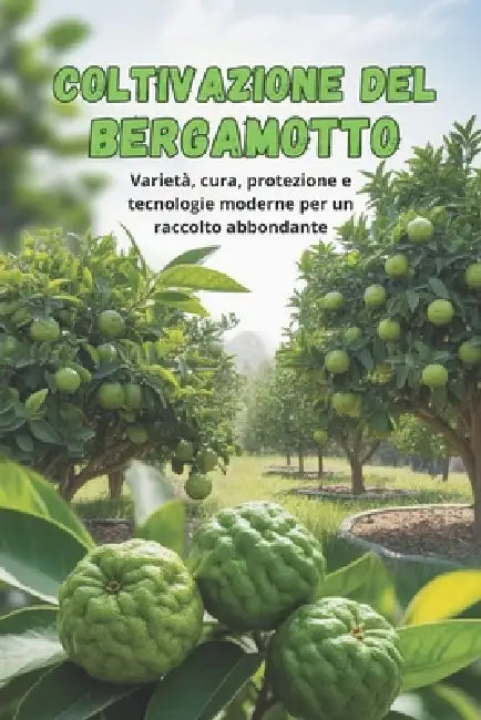 Coltivazione del bergamotto: Una guida completa alla coltivazione del bergamotto: varietà, preparazione del materiale di piantagione, cura, protezione by Svitana