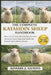 The Complete Katahdin Sheep Handbook: All you need to know about katahdin ownership Manual on Pasture Setup, Herd Health Care, Parasite Control, Habit by Adams J. Gusto