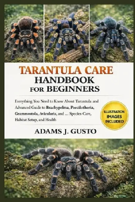 Tarantula Care Hanbook for Beginners: Everything You Need to Know About Tarantula and Advanced Guide to Brachypelma, Poecilotheria, Grammostola, Avicu by Adams J. Gusto