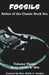 Fossils: Relics of the Classic Rock Era: Volume Three: More 1970s & '80s by Keith a. Gordon