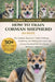 How to Train Corman Shepherd as Pets: The Complete Beginner's Guide to Raising, Socializing, and Training the Loyal Corgi-German Shepherd Mix for a Ha by Debby Hunter