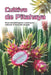 Cultivo de Pitahaya: Una guía completa para el cultivo de Pitahaya: desde la elección de una variedad y la preparación del material de plantación hast by Svitana
