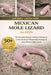 Mexican Mole Lizard: The Complete Keeper's Guide to Caring for, Understanding & Responsibly Housing the Rare Mexican Mole Lizard by Debby Hunter