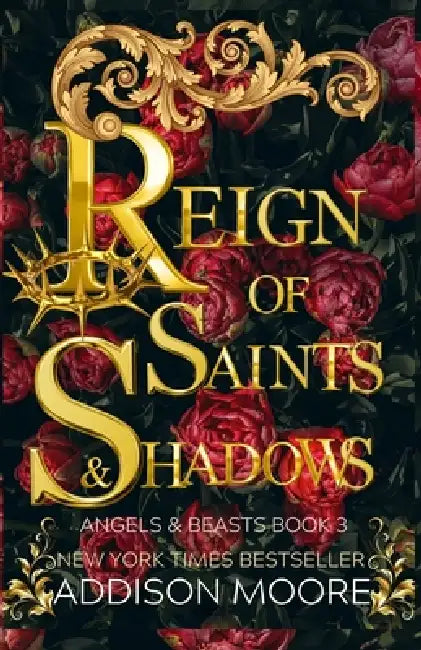 Reign of Saints and Shadows by Addison Moore