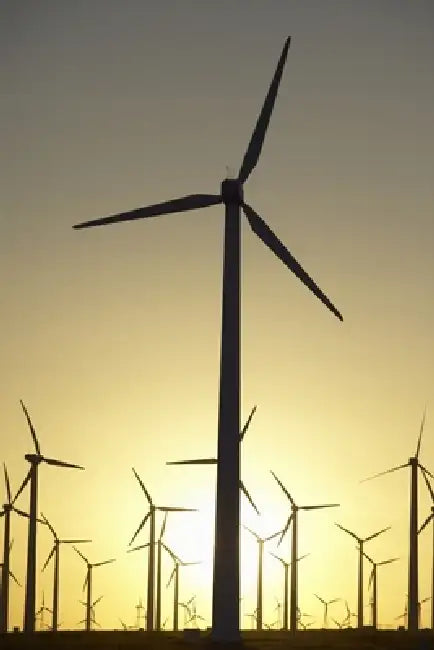 Beyond the Tariff: Strategic Risk Allocation in Power Projects by Robyn Xu