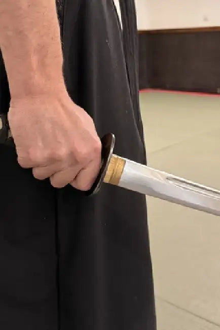 El comienzo del samurái: Muso shinden ryu - Omori ryu by Manuel Alberto Jiménez Diz, Íñigo Castellano Sepúlveda