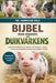 Bijbel Voor Houders Van Duikvarkens: Uitgebreide handleiding voor eigenaren van minivarkens: voeding, training, huisvesting, gedrag, veterinaire zorg by Harrison Vale