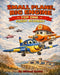 Small Plane Big Engine