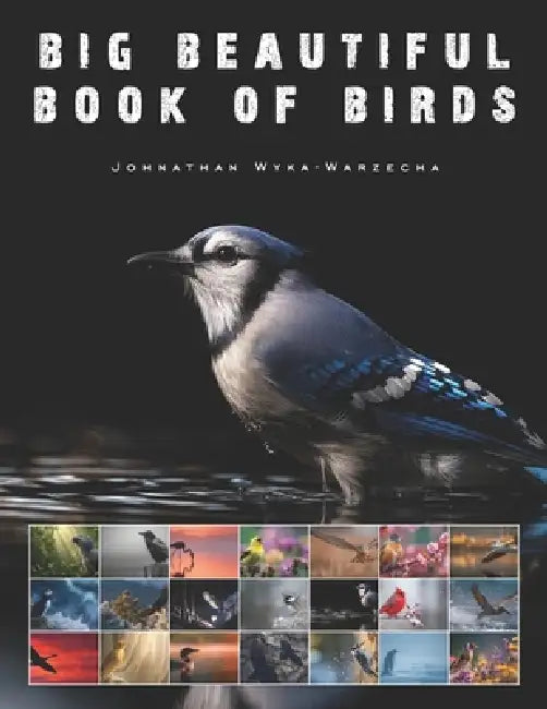 Big Beautiful Book of Birds: Large Two Page Pictures of Avian Wildlife Coffee Table Book by Johnathan Wyka-Warzecha