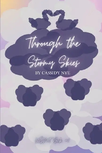 Through the Stormy Skies: USMT Book 2 by Cassidy Nye