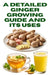 A Detailed Ginger Growing Guide and Its Uses by Zulfiqar Khan