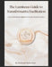 The Luminous Guide to Transformative Facilitation: From Individual Insight to Systemic Transformation by Ammanuel Santa Anna