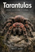 Tarantulas: A Modern Scientific Guide for Tarantulas by Alex C. Jordan