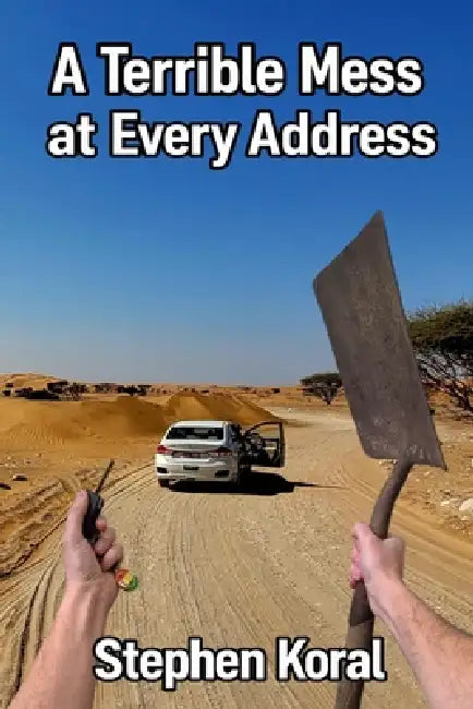 A Terrible Mess at Every Address by Stephen Koral
