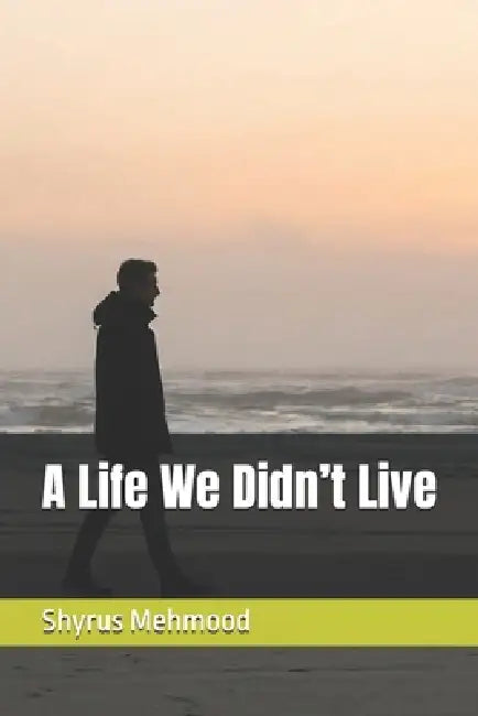 A Life We Didn't Live by Shyrus Mehmood