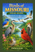 Birds of MISSOURI FIELD GUIDE: Discover Missouri's Birds from the Ozarks to the Mississippi Flyway by Pm Wilson