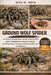 Ground Wolf Spider: A Practical, Reality-Based Guide to Ground Wolf Spider Identification, Behavior, Habitat, Handling Safety, Feeding, and Responsibl by Rita M. Oris