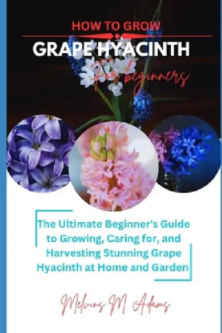 How to grow Grape Hyacinth flower for beginners: The Ultimate Beginner's Guide to Growing, Caring for, and Harvesting Stunning Grape Hyacinth at Home by Melvins M. Adams
