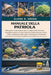 Manuale Della Patriola: Tutto quello che devi sapere sulla cura degli invertebrati marini: requisiti per vasche sicure per la barriera corallina, para by Elora S. Green