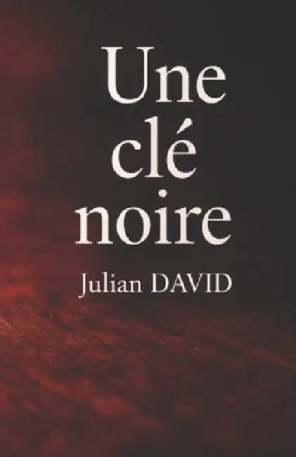 Une clé noire: Un roman noir entre fuite, secret et sacrifice by Julian David