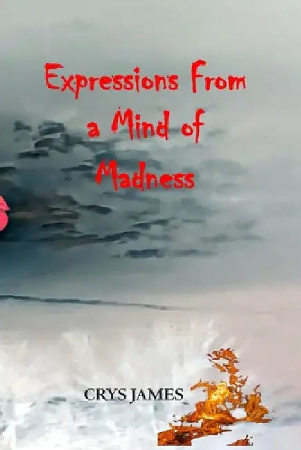 Expressions From A Mind Of Madness