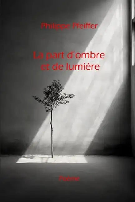 La part d'ombre et de lumière: Conte by Philippe Pfeiffer