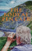 The Body at Pen Caer by Martin Whitbread