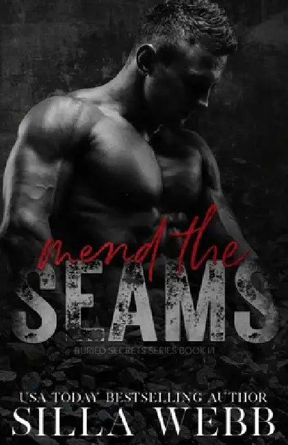Mend the Seams by Silla Webb