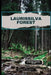 Laurissilva Forest Hiking Guide 2026 by Jasper O. Elowen