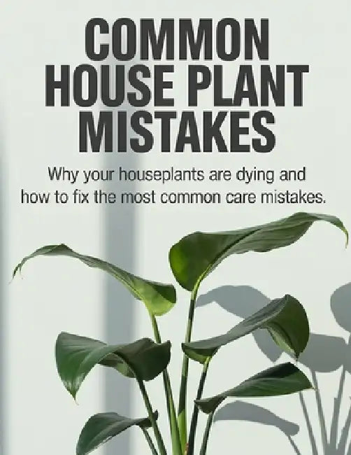 Common House Plant Mistakes: Why Your Houseplants Are Dying and How to Fix the Most Common Care Mistakes by B. Fisher