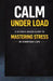 Calm Under Load: A Science Based Guide to Mastering Stress in Everyday Life by Michael Otto