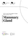 ILMS Concept Documentation Standard - Mammary Gland (LoS-MAG-CDS-25) by Life Management Science Labs