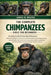 The Complete Chimpanzees Bible for Beginners: Everything You Need To Know About Chimpanzees: Behavior and intelligence, social structure and communica by James R. Moore