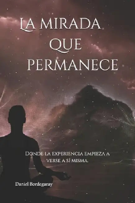 La mirada que permanece: Donde la experiencia empieza a verse a sí misma. by Daniel Bordegaray
