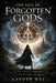 The Veil of Forgotten Gods: The Veilbound Chronicles by Aayush Raj