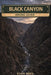 Black Canyon Hiking Guide: Trail Maps, Scenic Routes, Safety Tips, and Local Insights for Exploring the Canyon's Rugged Landscapes by Evan Reed