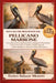 Manuale Per Principianti del Pellicano Marrone: Una guida pratica al pellicano bruno: strategie di alimentazione, comportamento di volo, habitat, mode by Enrico Salazar Moretti