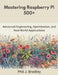 Mastering Raspberry Pi 500+: Advanced Engineering, Optimization, and Real-World Applications by Phil J. Bradley