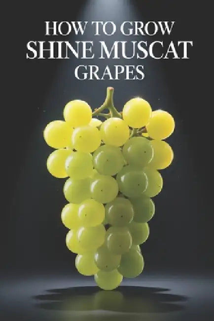 How to Grow Shine Muscat Grapes: A Complete Practical Guide to Growing Premium Table Grapes: Planting, Shaping, Fertilizing, Irrigation, and Protectio by Svitana