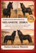 Manuale Per Principianti Di Melanistic Zebra: Capire la rara zebra melanica: genetica, aspetto, habitat, comportamento sociale, durata della vita, sfi by Enrico Salazar Moretti