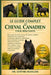 Le Guide Complet Du Cheval Canadien Pour Débutants: Tout ce que vous devez savoir sur les chevaux canadiens....santé et problèmes courants, et routine by Lefèvre François