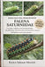 Manuale Per Principianti Sulla Falena Saturniidae: Una guida completa ai bruchi Saturniidae: identificazione, fasi di crescita, alimentazione, requisi by Enrico Salazar Moretti