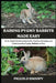Raising Pygmy Rabbits Made Easy: An In-Depth Guide to Caring for, Feeding, Housing, and Understanding Pygmy Rabbits as Pets by Piccolo Snoopy