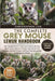 The Complete Grey Mouse Lemur Handbook: The Complete Field & Conservation Guide to the Grey Mouse Lemur: Behavior, Ecology, Seasonal Survival Strategi by Christopher Lisa