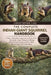 The Complete Indian Giant Squirrel Handbook: A Deep, Authoritative Exploration of India's Most Spectacular Canopy Mammal: Its Biology, Behavior, Fores by Christopher Lisa