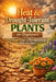 Heat & Drought-Tolerant Plants for Beginners: A Simple Guide to Thriving Gardens With Less Water by J. Rhea