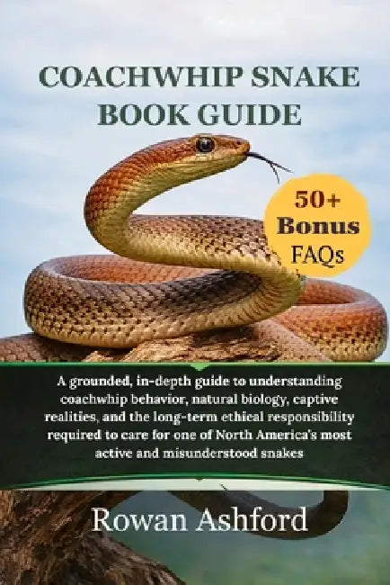 Coachwhip snake book guide: A grounded, in-depth guide to understanding coachwhip behavior, natural biology, captive realities, and the long-term ethi by Rowan Ashford